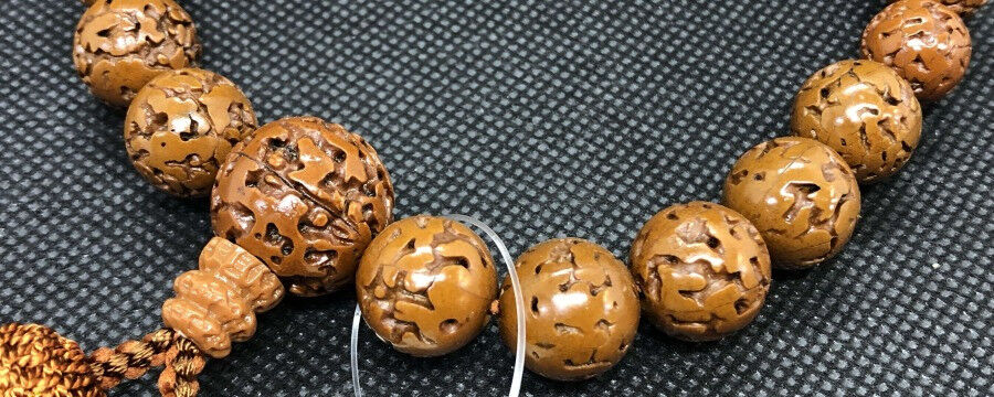 神の目!!金剛菩提樹